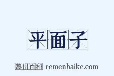 平面子是什么意思的图片